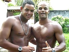 Mature studs outdoors